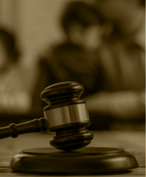 Göç ve Vatandaşlık Hukuku